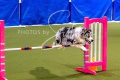 12-8-9-10-Jen-Pinder-1182