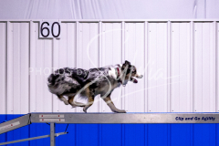 12-8-9-10-Jen-Pinder-1183