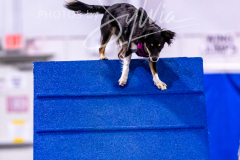 12-8-9-10-Jen-Pinder-1192