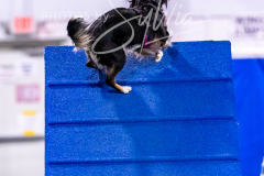 12-8-9-10-Jen-Pinder-1193