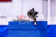 12-8-9-10-Jen-Pinder-1194