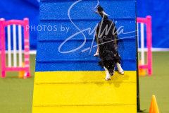 12-8-9-10-Jen-Pinder-1195