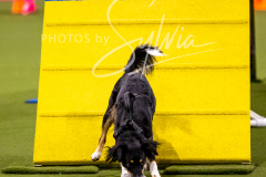 12-8-9-10-Jen-Pinder-1196