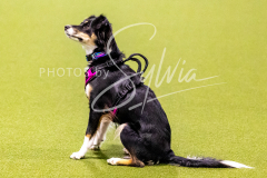 12-8-9-10-Jen-Pinder-1204