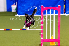 12-8-9-10-Jen-Pinder-1206