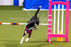 12-8-9-10-Jen-Pinder-1207