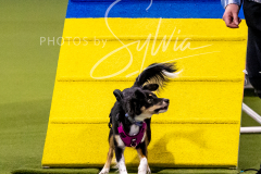 12-8-9-10-Jen-Pinder-1210