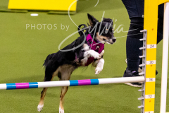 12-8-9-10-Jen-Pinder-1212