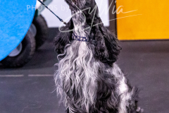 12-8-9-10-Jen-Pinder-1214