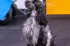 12-8-9-10-Jen-Pinder-1215