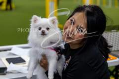 12-8-9-10-Jen-Pinder-1217