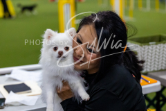 12-8-9-10-Jen-Pinder-1219