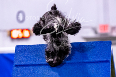 12-8-9-10-Jen-Pinder-1220