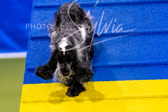 12-8-9-10-Jen-Pinder-1221