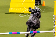 12-8-9-10-Jen-Pinder-1223