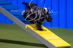 12-8-9-10-Jen-Pinder-1226