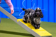 12-8-9-10-Jen-Pinder-1227