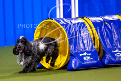 12-8-9-10-Jen-Pinder-1232