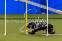 12-8-9-10-Jen-Pinder-1239