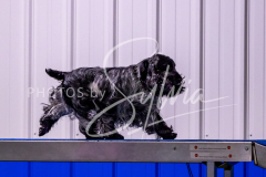 12-8-9-10-Jen-Pinder-1242