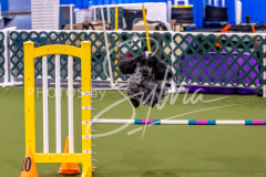 12-8-9-10-Jen-Pinder-1243