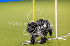 12-8-9-10-Jen-Pinder-1250