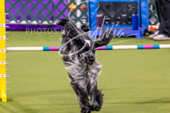 12-8-9-10-Jen-Pinder-1251