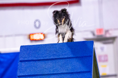 12-8-9-10-Jen-Pinder-1252