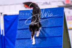 12-8-9-10-Jen-Pinder-1253