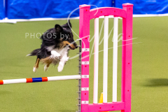 12-8-9-10-Jen-Pinder-1259