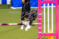 12-8-9-10-Jen-Pinder-1260