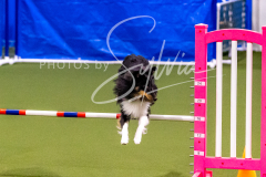 12-8-9-10-Jen-Pinder-1261