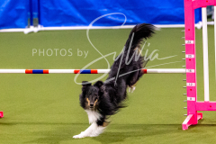 12-8-9-10-Jen-Pinder-1262