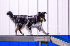 12-8-9-10-Jen-Pinder-1263