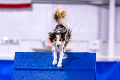 12-8-9-10-Jen-Pinder-1265