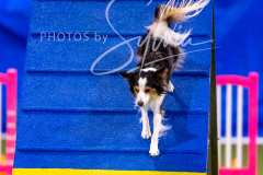 12-8-9-10-Jen-Pinder-1266