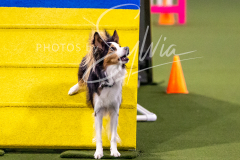 12-8-9-10-Jen-Pinder-1267