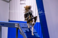 12-8-9-10-Jen-Pinder-1269