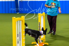 12-8-9-10-Jen-Pinder-127