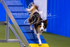 12-8-9-10-Jen-Pinder-1270