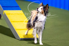 12-8-9-10-Jen-Pinder-1271