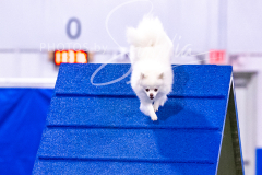 12-8-9-10-Jen-Pinder-1272