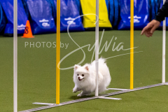 12-8-9-10-Jen-Pinder-1277