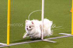 12-8-9-10-Jen-Pinder-1279