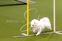 12-8-9-10-Jen-Pinder-1285