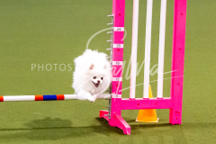 12-8-9-10-Jen-Pinder-1286