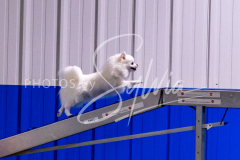 12-8-9-10-Jen-Pinder-1287