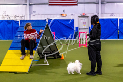 12-8-9-10-Jen-Pinder-1291