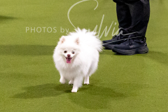 12-8-9-10-Jen-Pinder-1292