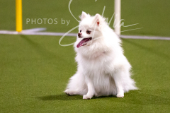 12-8-9-10-Jen-Pinder-1299